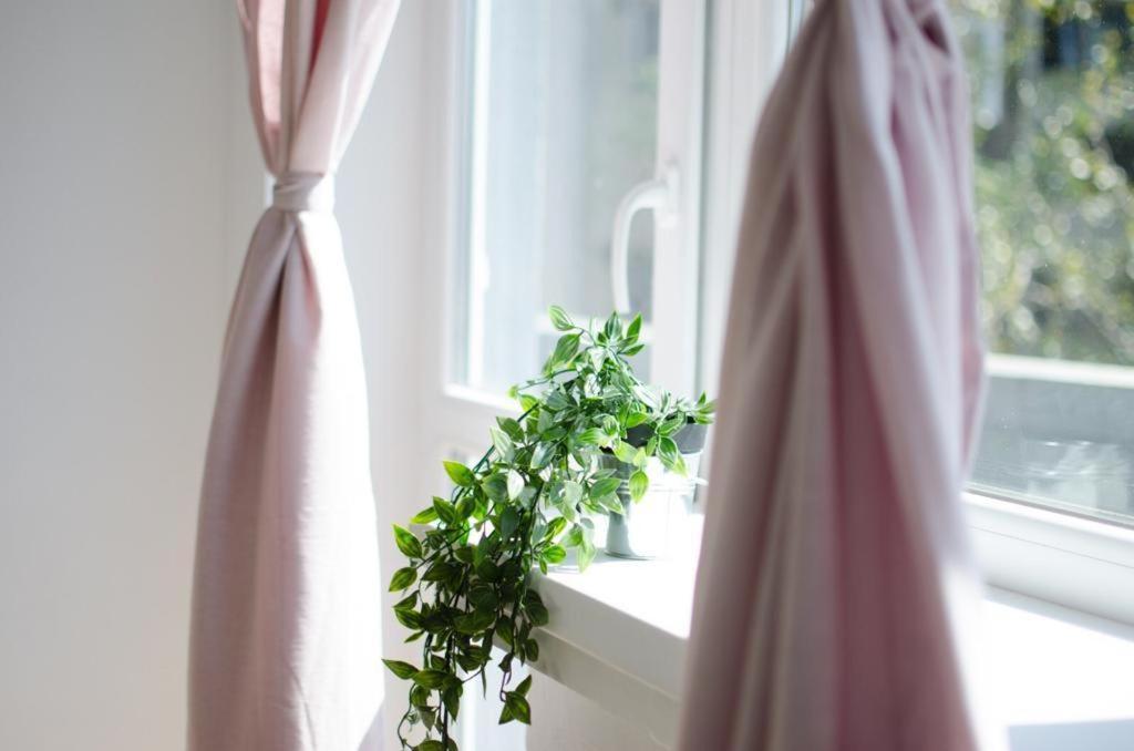 Bright Apartment Near Cismigiu And Old Town 부쿠레슈티 외부 사진